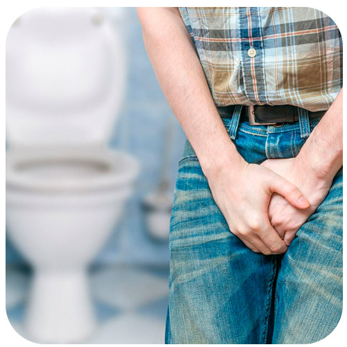 infeccion urinaria - productos naturales 1