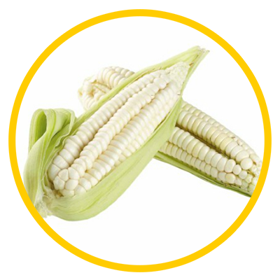 maiz trillado - 1